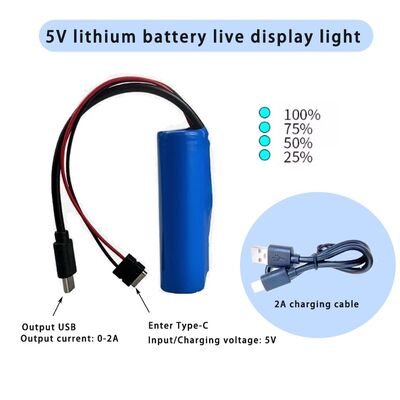 DIY Power Bank Charging Module - Type-C & USB 5V 2A Output with LED Indicator | Support 3.7V 18650 Lithium Batteries